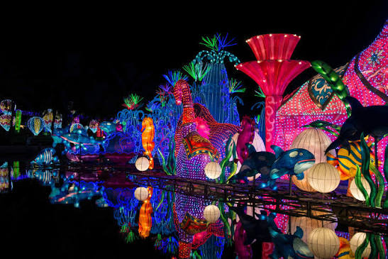 Dubai Garden Glow